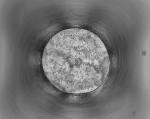 X0000094450174200711291707