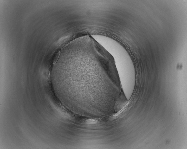 X0000094450176200711291707