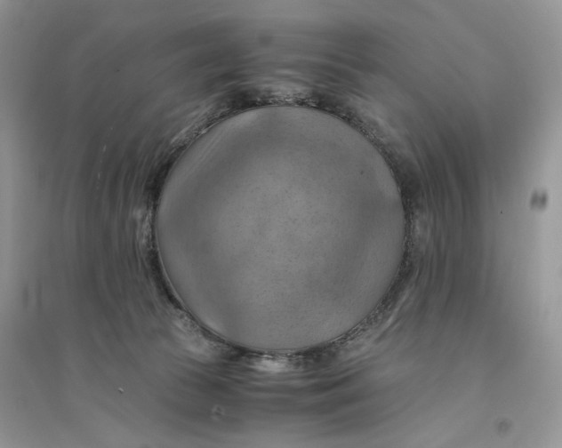 X0000094450177200711291707