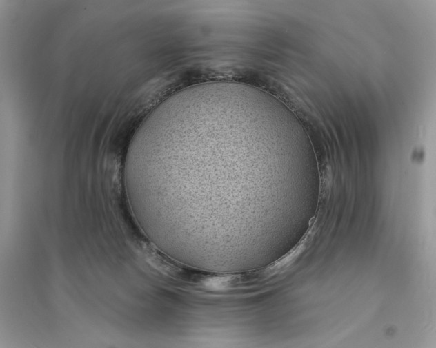 X0000094450178200711291707