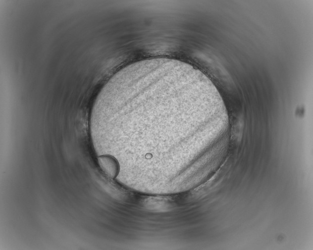 X0000094450179200711291707