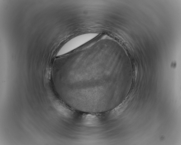 X0000094450180200711291707