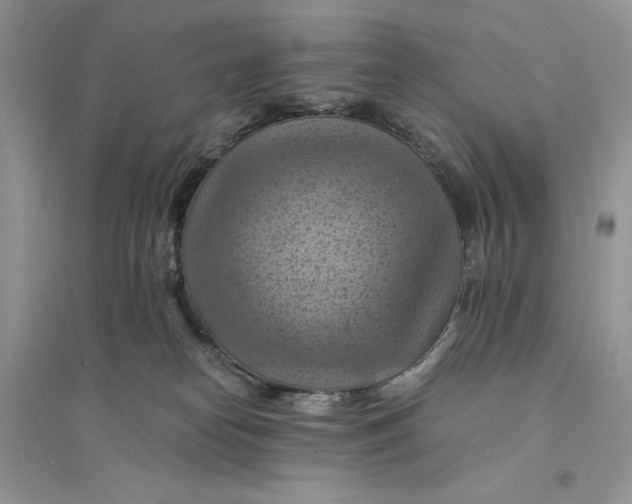 X0000094450182200711291708