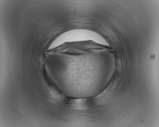 X0000094450184200711291708