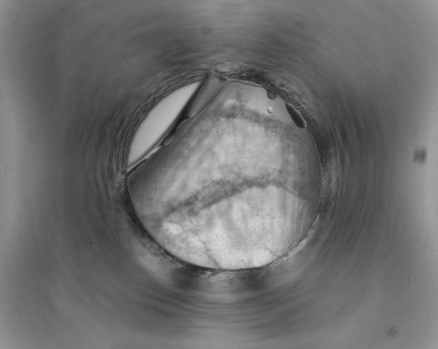 X0000094450186200711291708