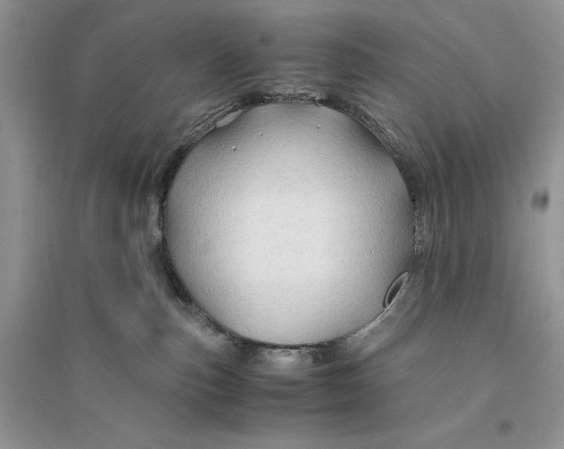 X0000094450187200711291708