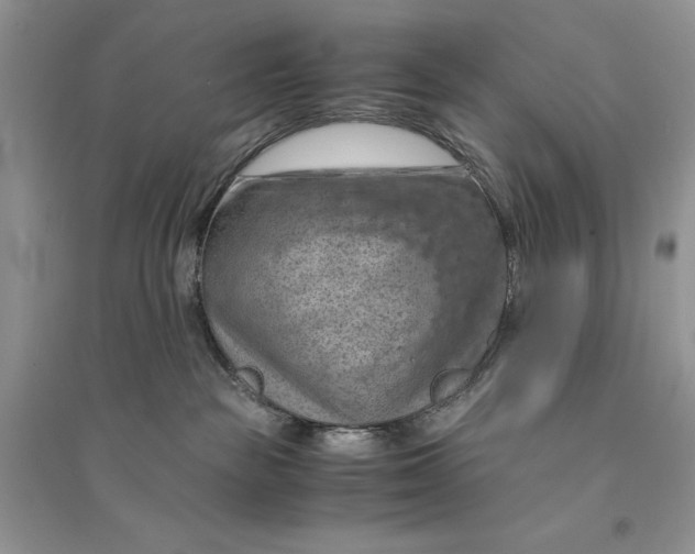 X0000094450189200711291708