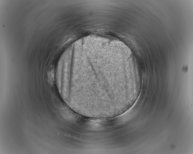 X0000094450190200711291708