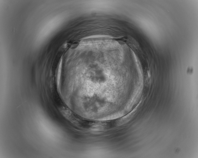 X0000094450191200711291708