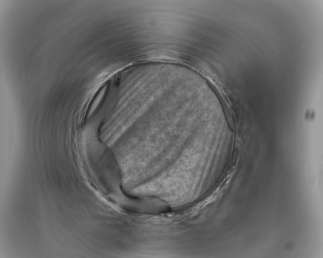 X0000094450193200711291707