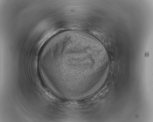 X0000094450194200711291707