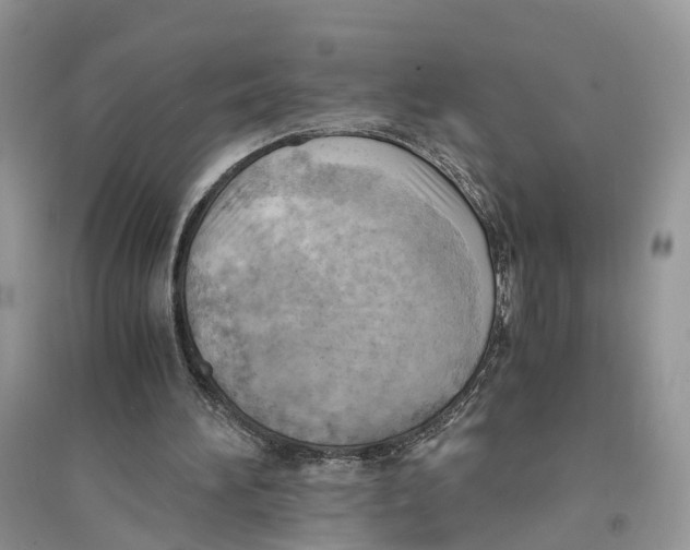 X0000094450196200711291707