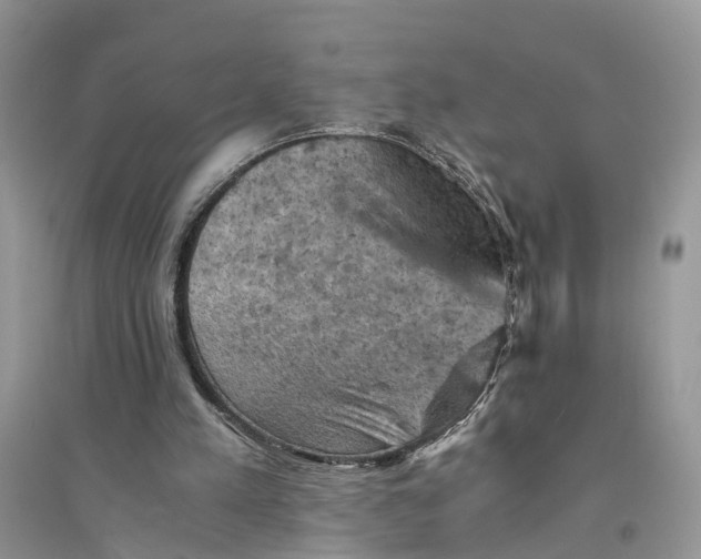 X0000094450197200711291707