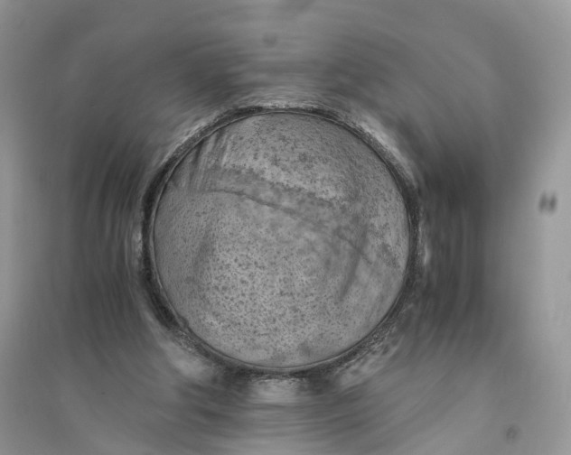 X0000094450202200711291707