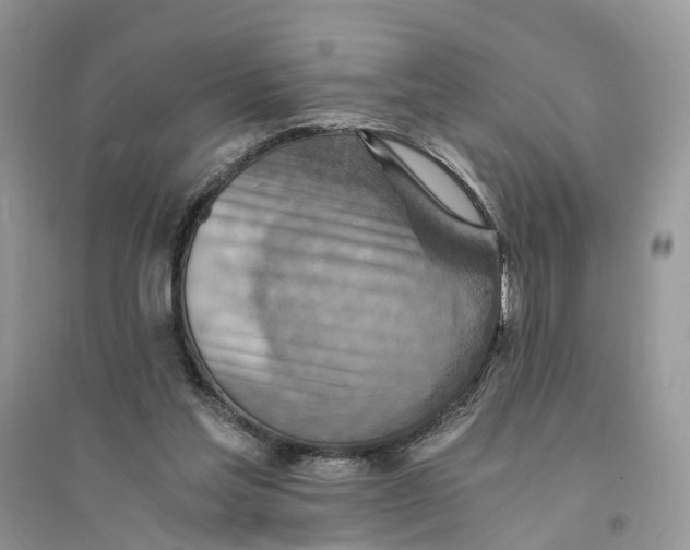 X0000094450205200711291707