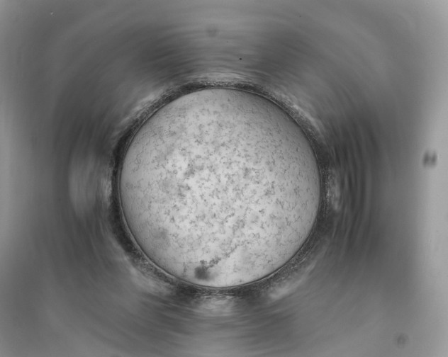 X0000094450206200711291707