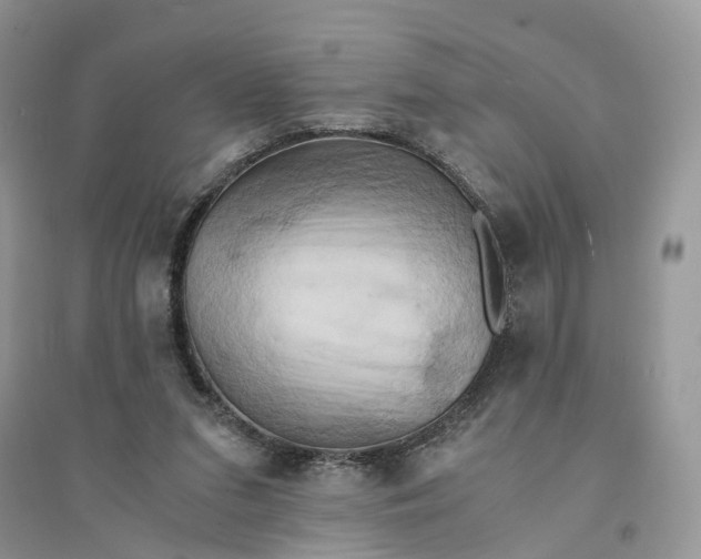 X0000094450207200711291707