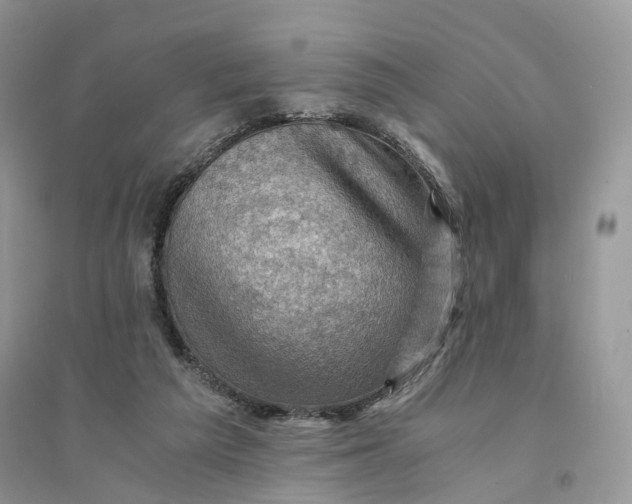 X0000094450209200711291707