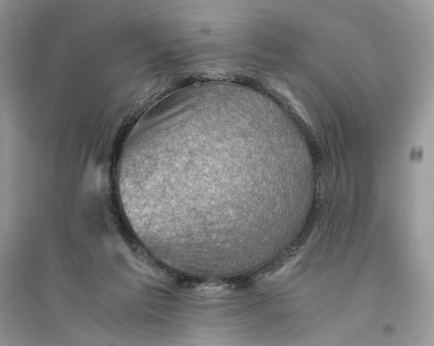 X0000094450213200711291707