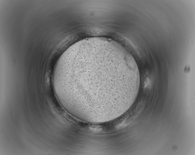 X0000094450214200711291707