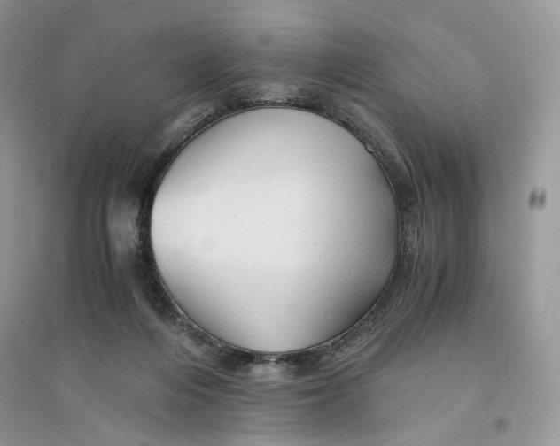 X0000094450216200711291706