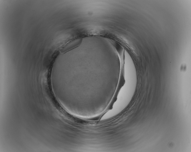 X0000094450217200711291706