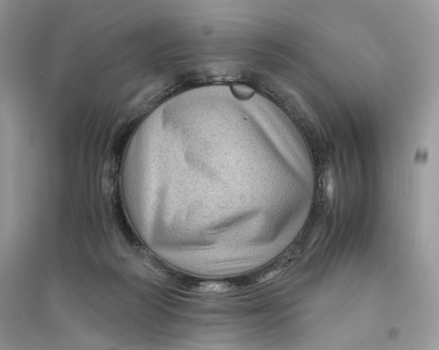 X0000094450218200711291706