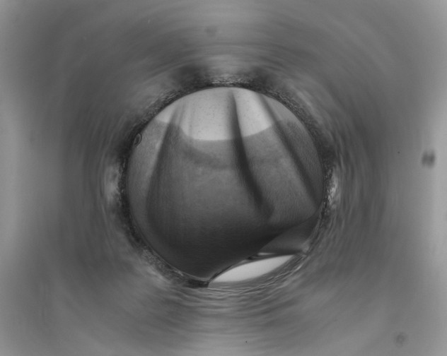 X0000094450219200711291706