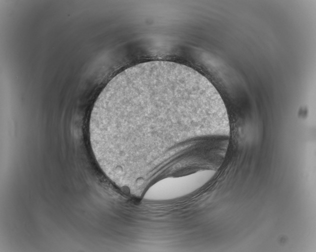 X0000094450221200711291706