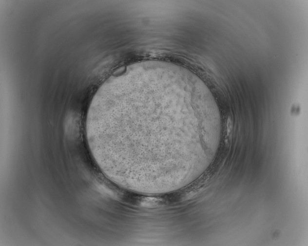 X0000094450222200711291706