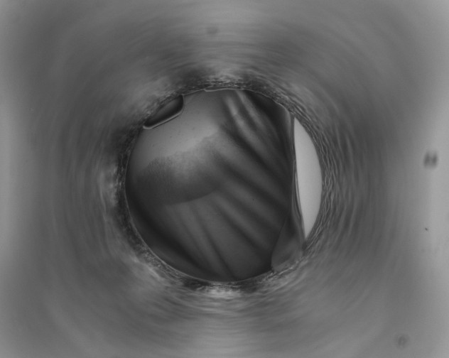 X0000094450223200711291706