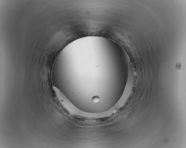 X0000094450225200711291706