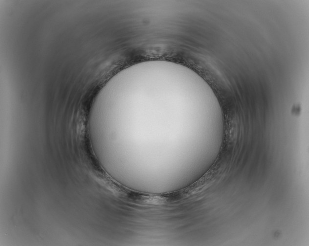 X0000094450226200711291706