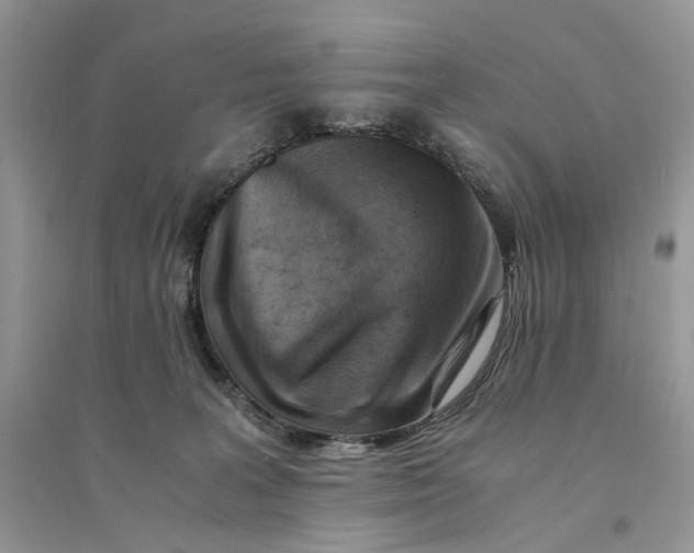 X0000094450227200711291706