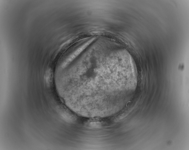 X0000094450228200711291706