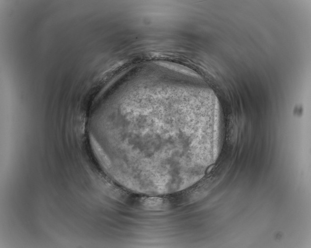 X0000094450230200711291706