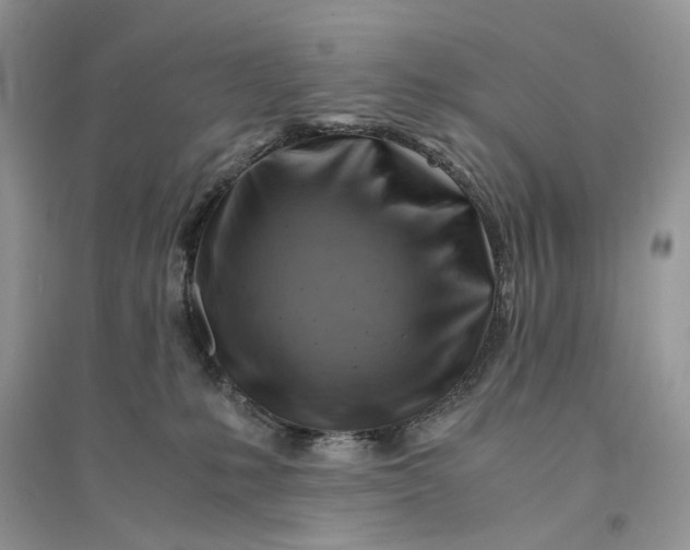 X0000094450231200711291706