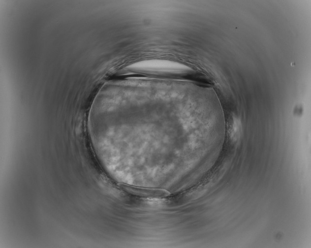 X0000094450233200711291706