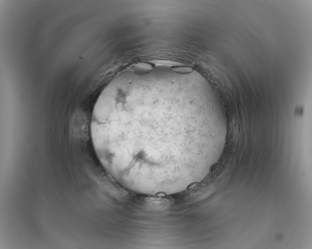 X0000094450234200711291706