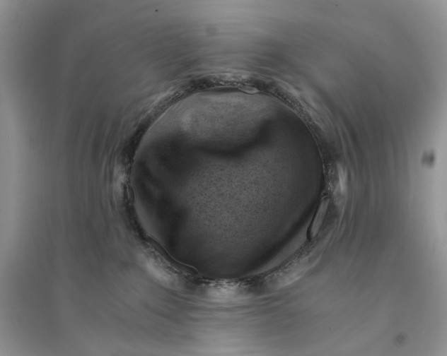 X0000094450235200711291706