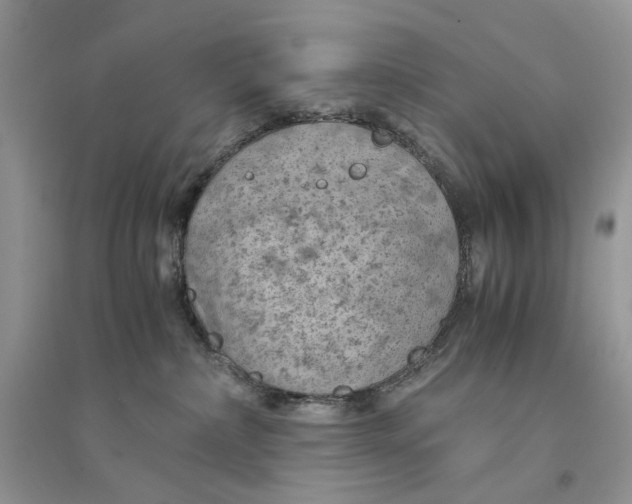 X0000094450236200711291706