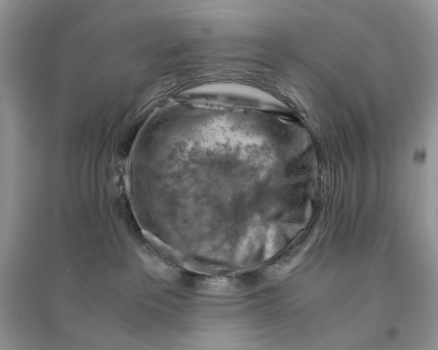 X0000094450237200711291706