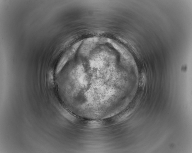 X0000094450238200711291706