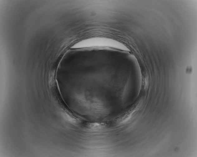 X0000094450239200711291706