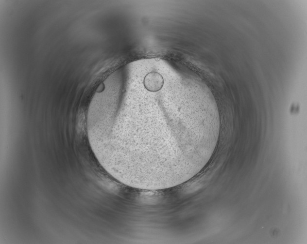 X0000094450240200711291706