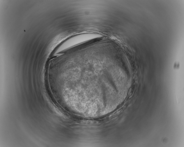 X0000094450242200711291705