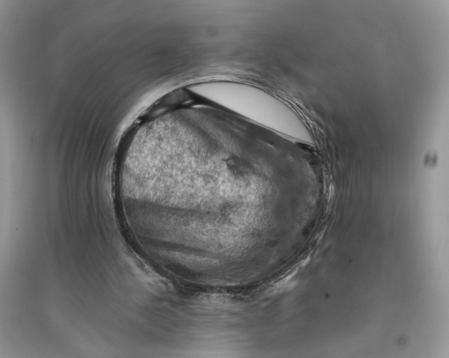 X0000094450244200711291706