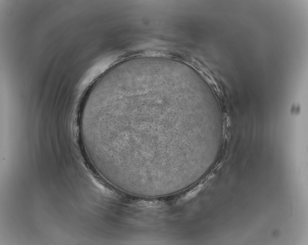 X0000094450245200711291706