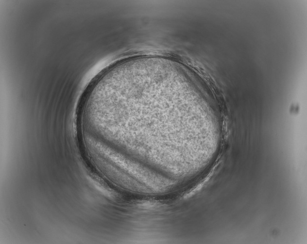 X0000094450246200711291706