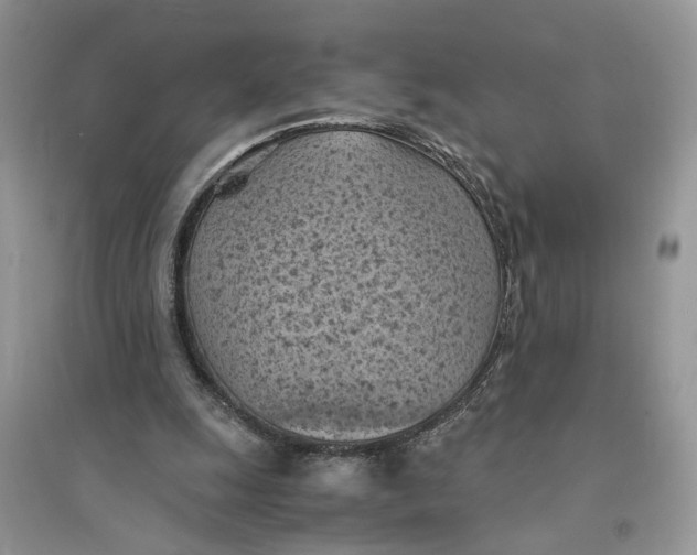 X0000094450247200711291706